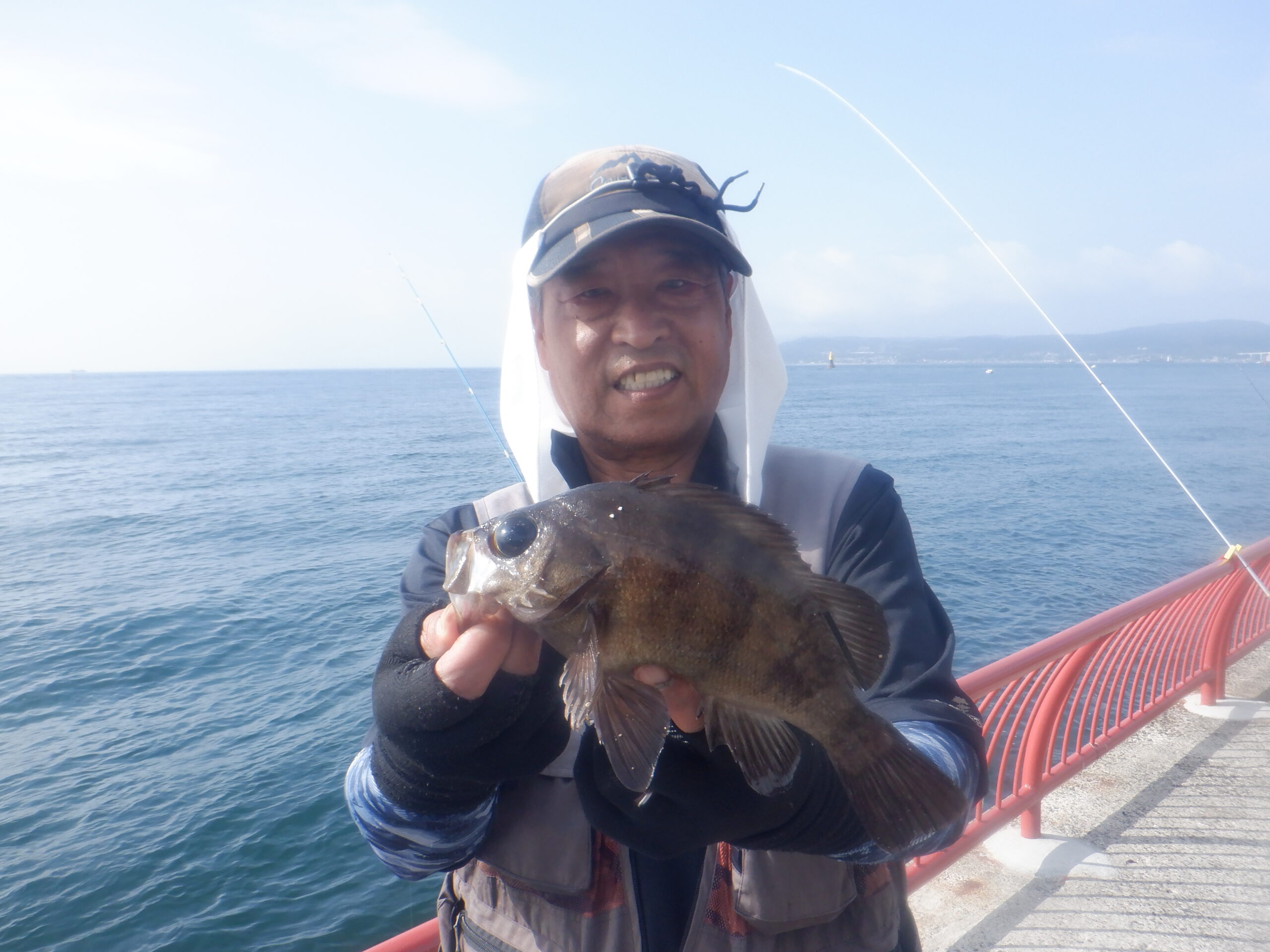 メバル