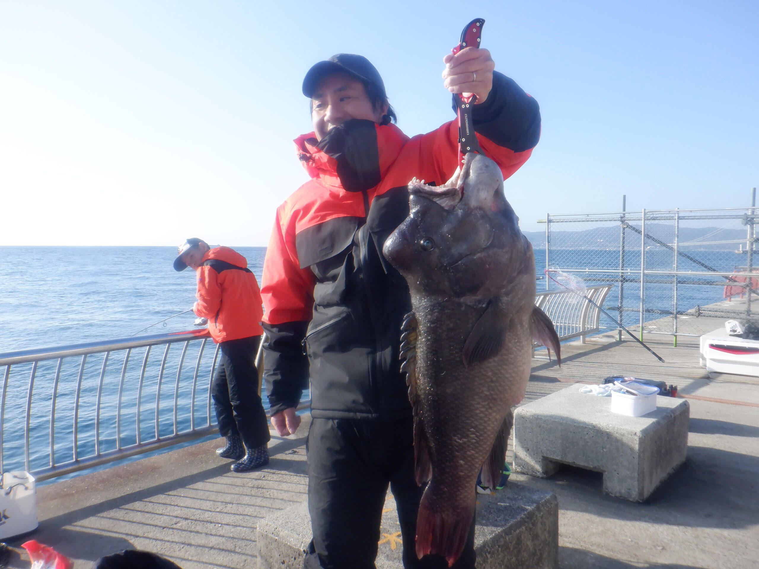 コブダイ（記録）