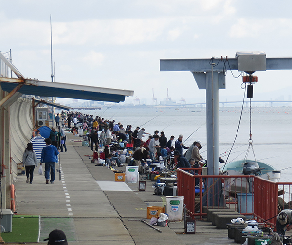 神戸市平磯海づり公園