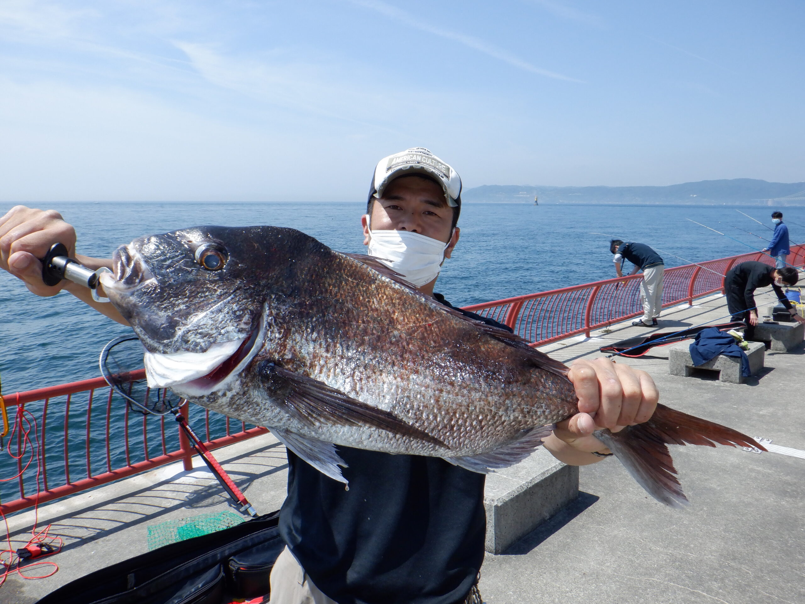 神戸市平磯海づり公園