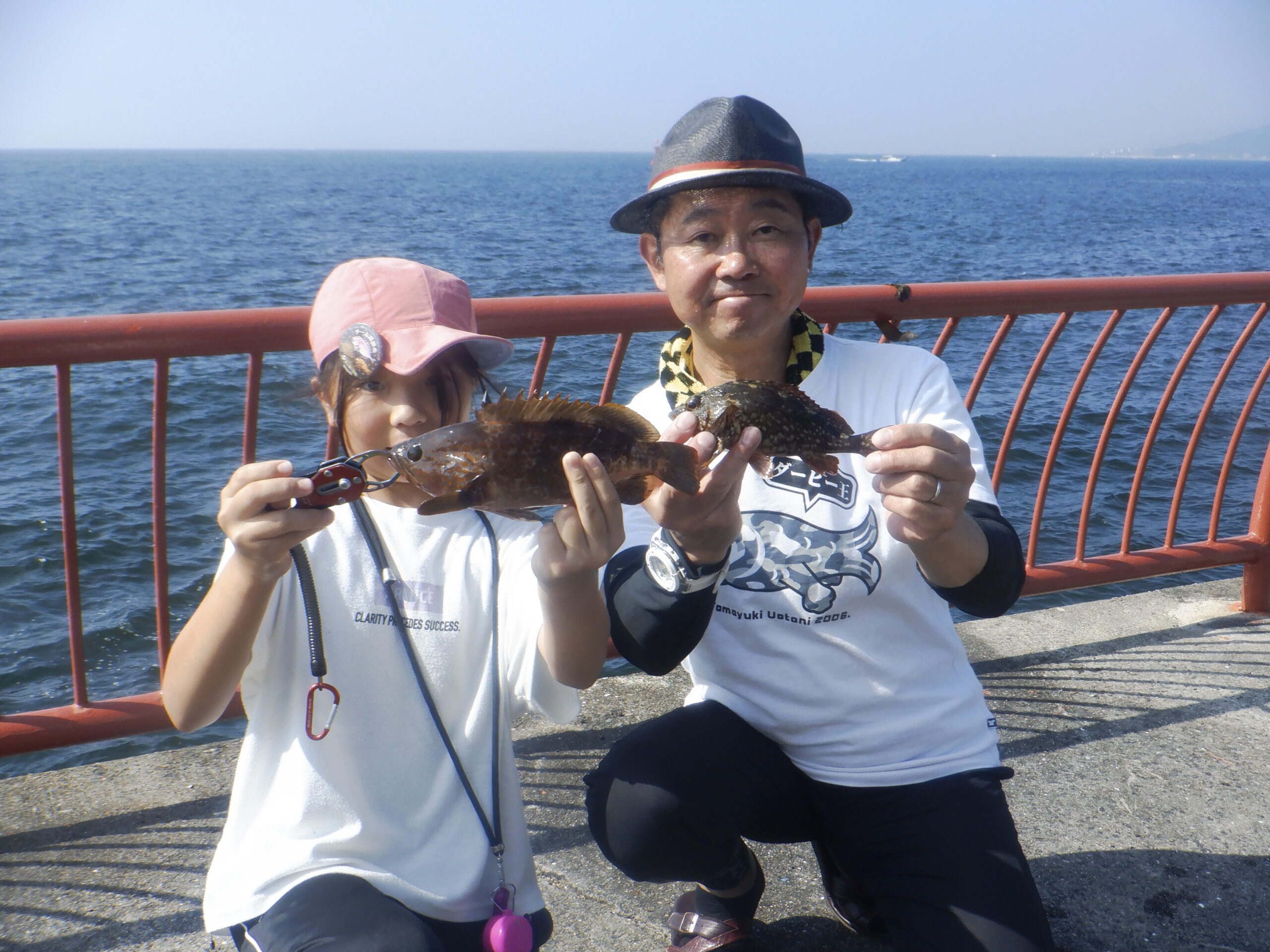 アコウ・ガシラ