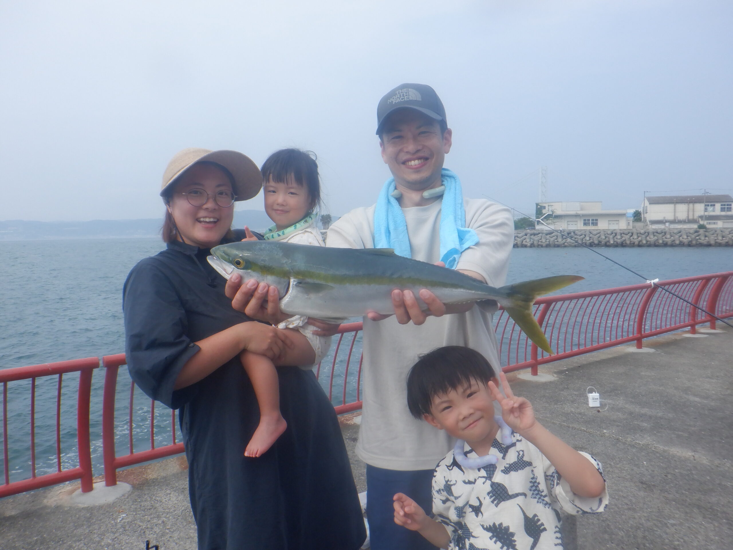 ハマチ