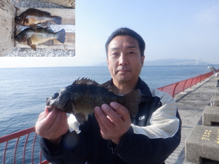 神戸市立平磯海づり公園