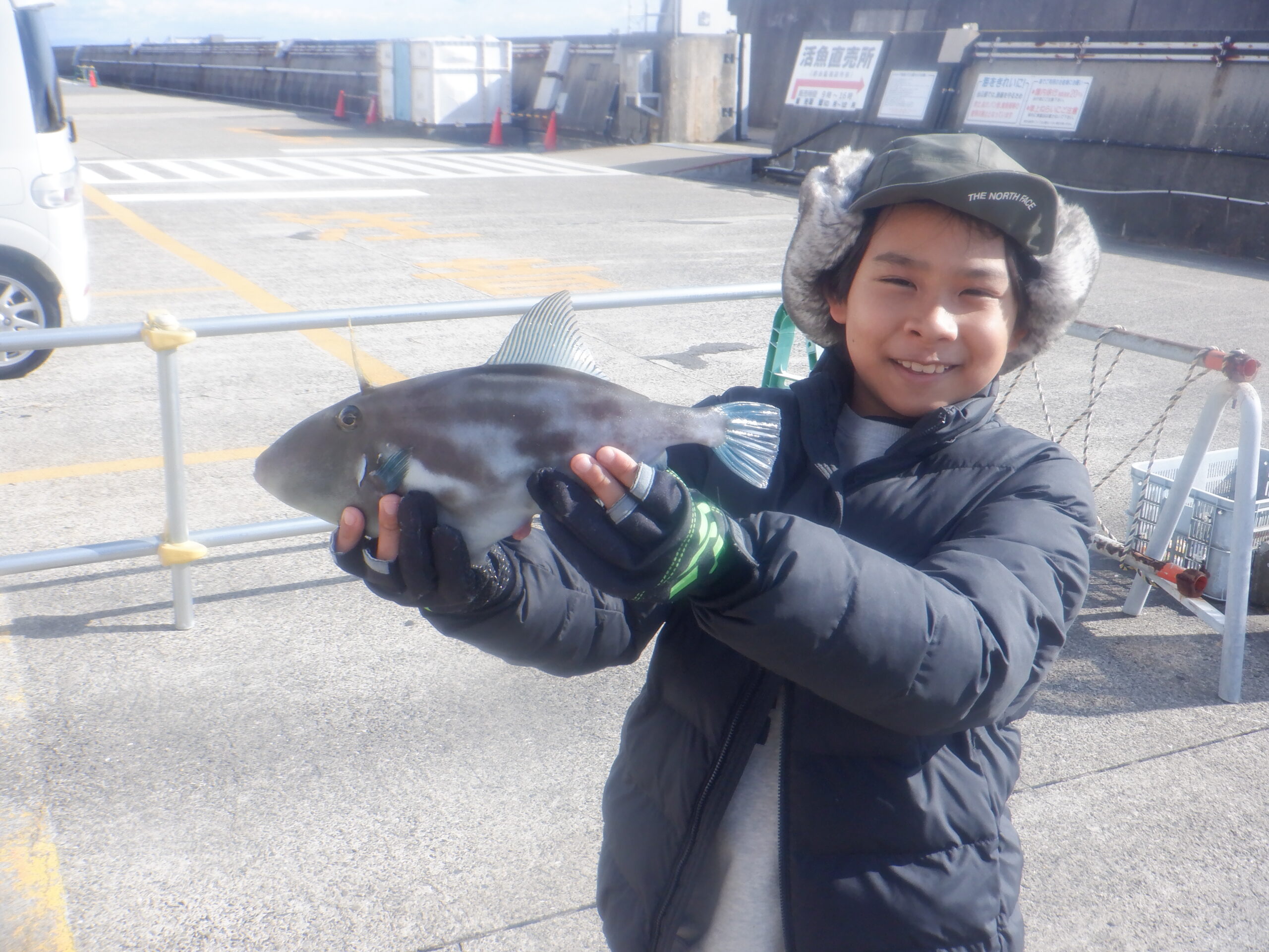 ウマヅラハギ（記録）