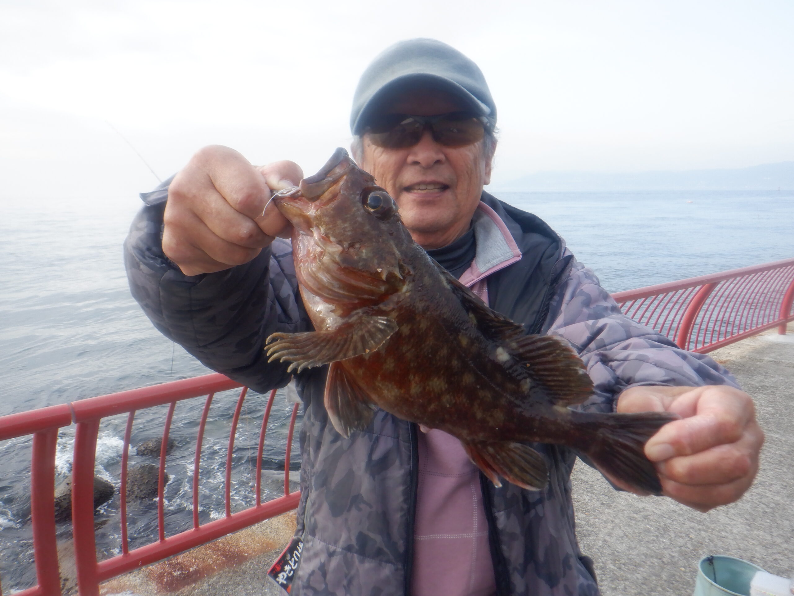 ガシラ（記録）