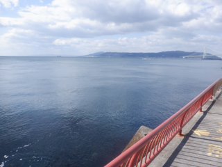 10:30現在、目立った釣果なし