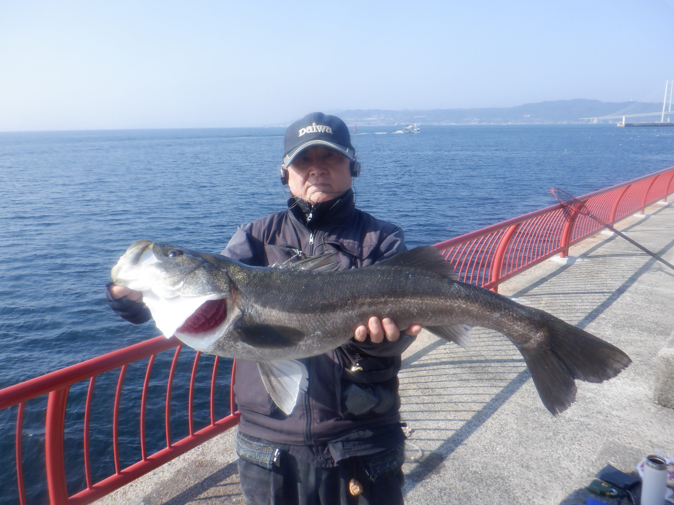 スズキ（記録）