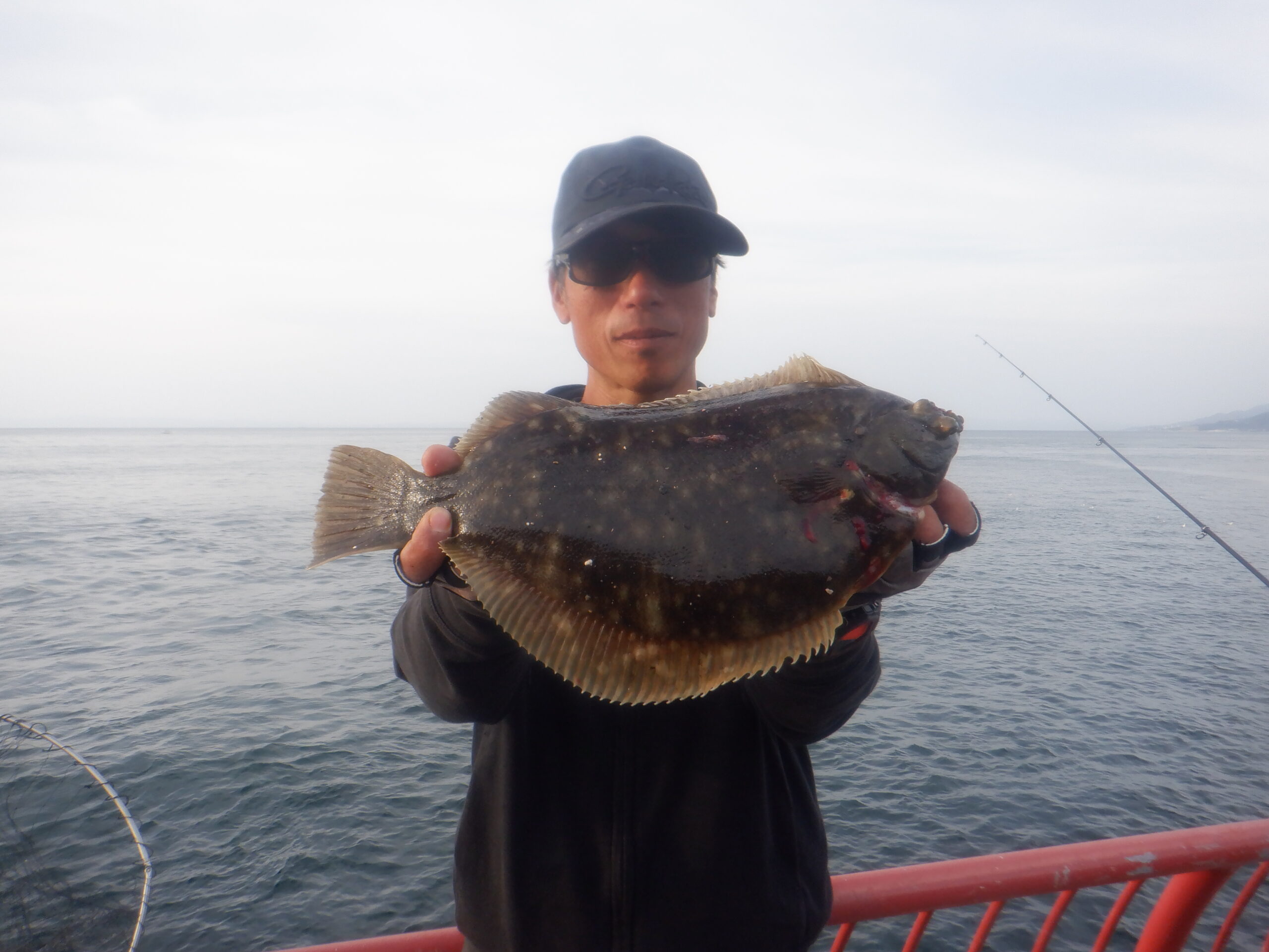 カレイ（記録）