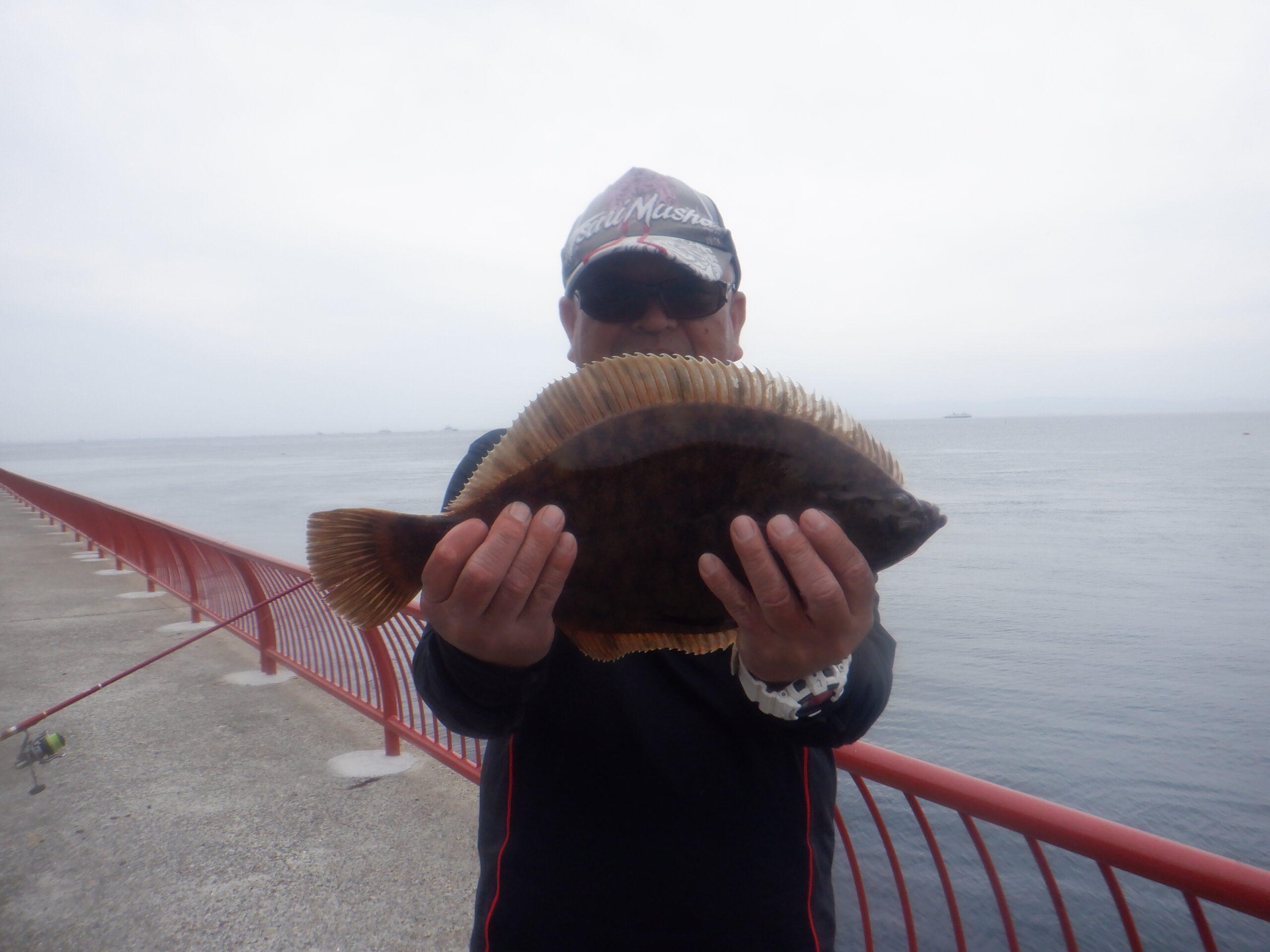 カレイ（記録）