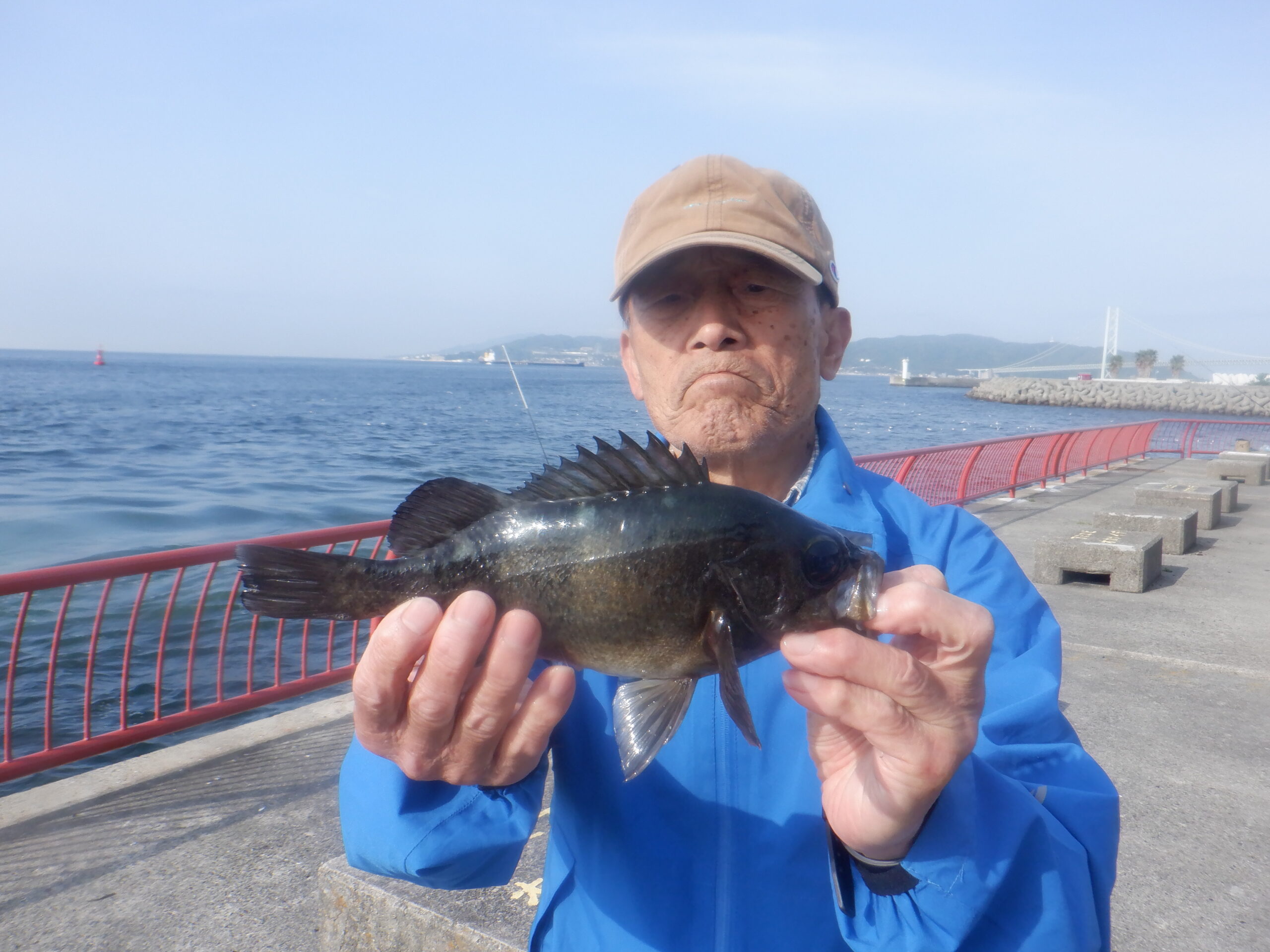 メバル（記録）