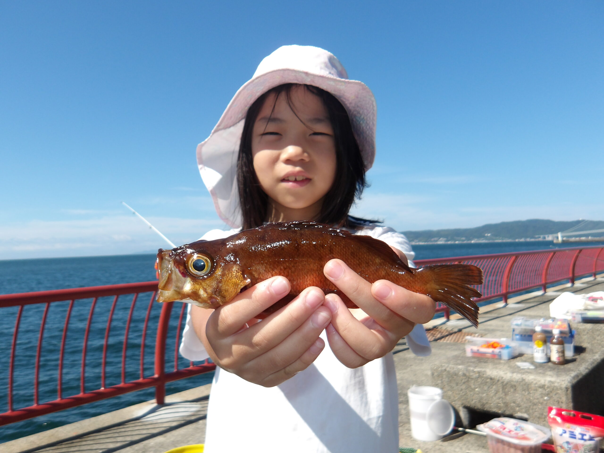 メバル